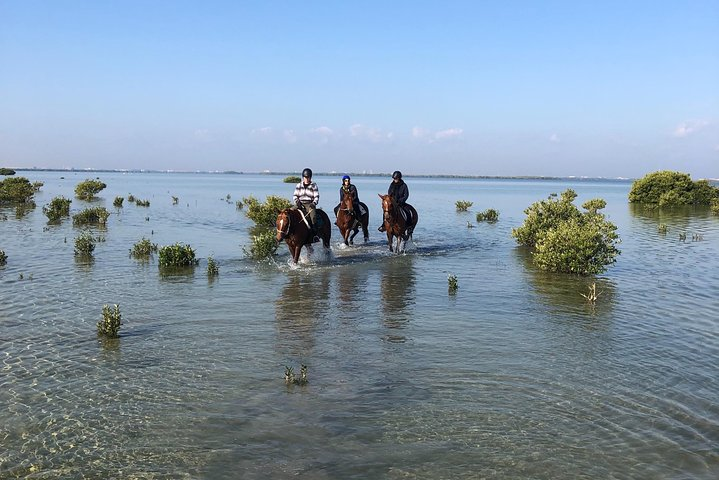 Mangroves ride - Photo 1 of 10